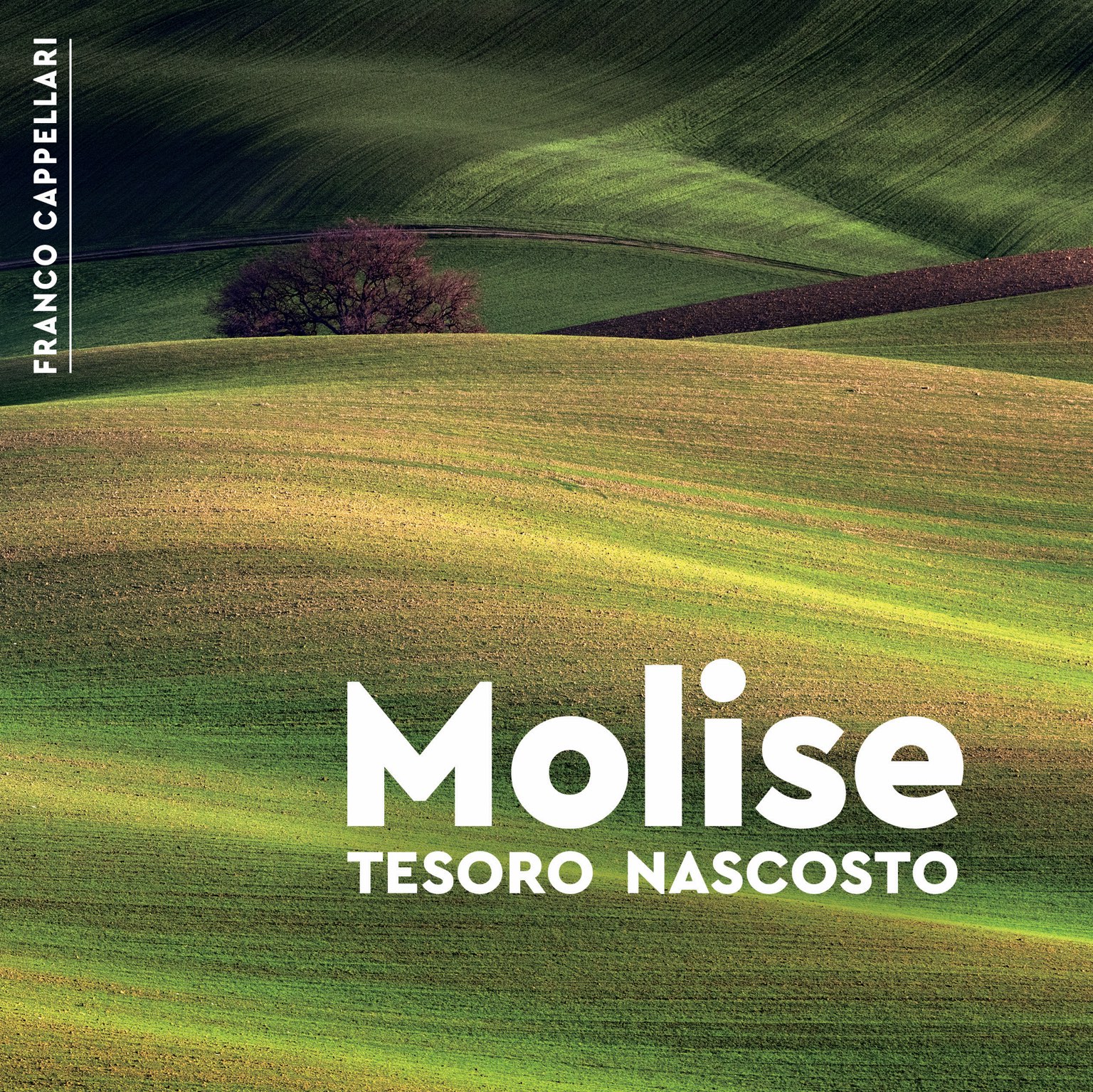 Copertina di Molise, tesoro nascosto, di Franco Cappellari